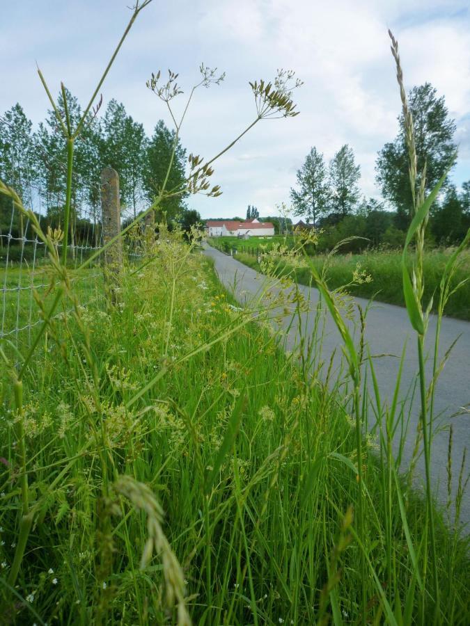 Het Verblijf Sint-Martens-Lennik Екстер'єр фото